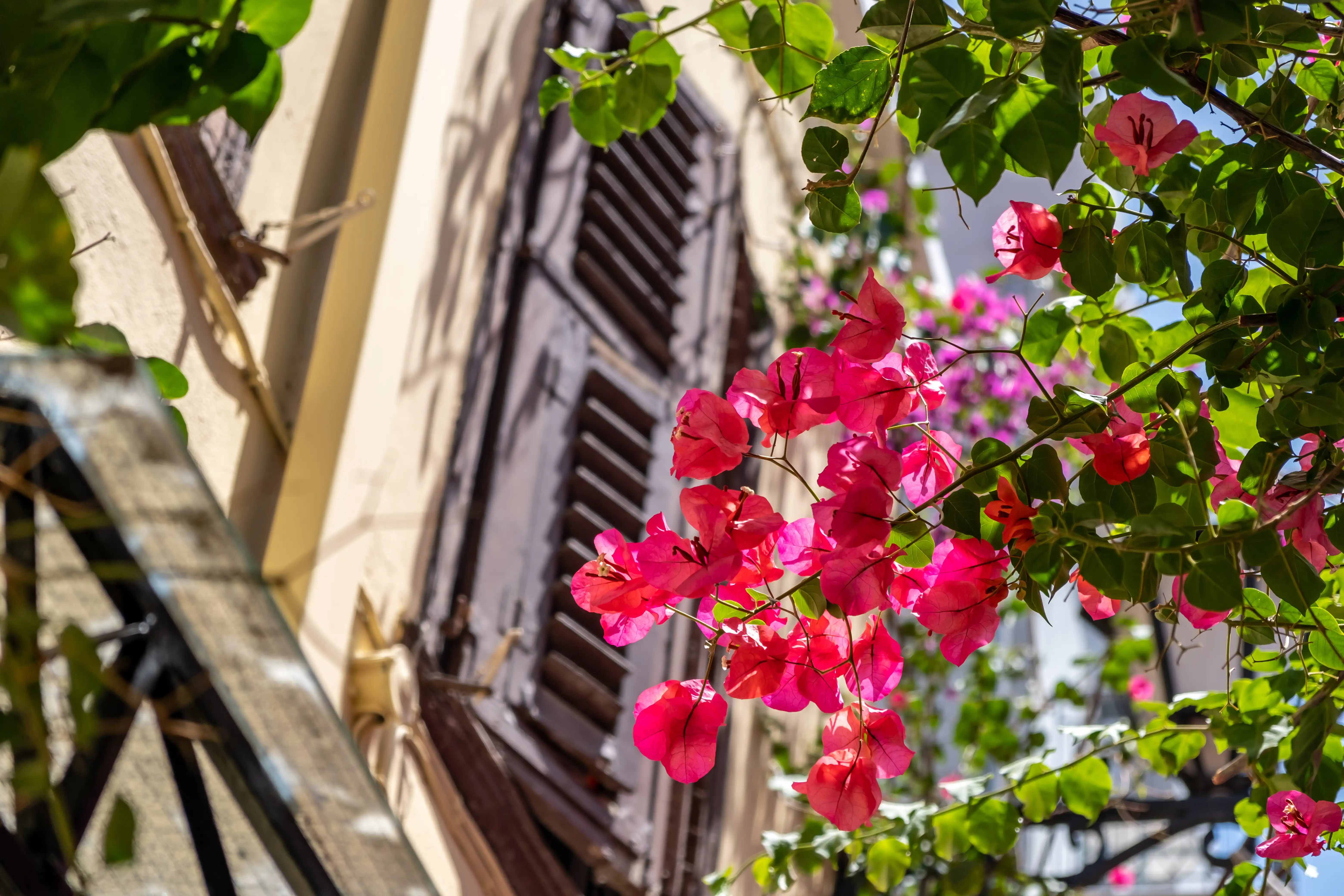 Historic facades and lanes in Rhodes Old Town